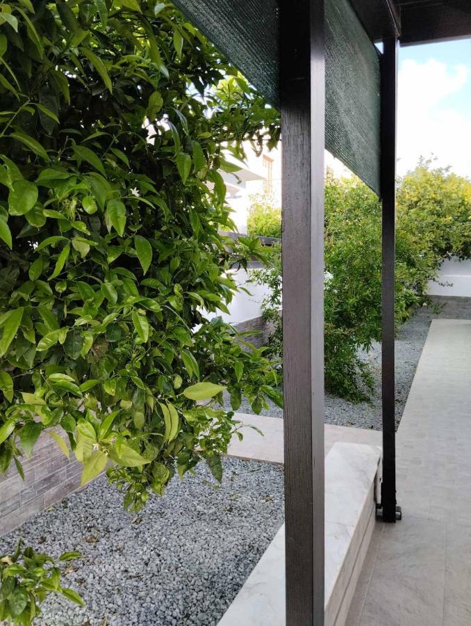 Michael Angelo Villa Paphos Exterior photo